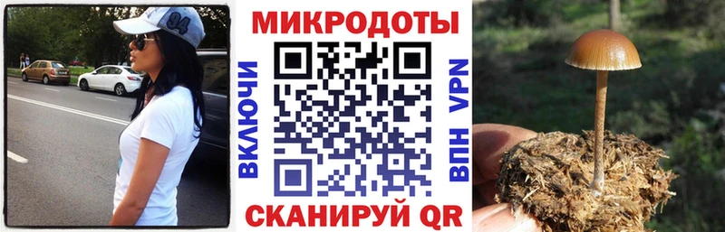Галлюциногенные грибы прущие грибы  Карачев 